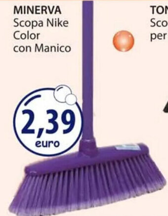 Acqua & Sapone MINERVA Scopa Nike Color con Manico offerta