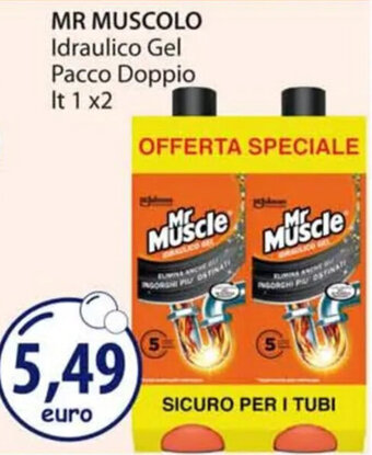 Acqua & Sapone MR MUSCOLO Idraulico Gel Pacco Doppio It 1 x2 offerta