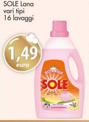 Acqua & Sapone SOLE Lana vari tipi 16 lavaggi offerta
