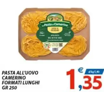 Vivo Supermercati PASTA ALL'UOVO CAMERINO FORMATI LUNGHI GR 250 offerta