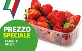 Vivo Supermercati FRAGOLE GR 250 offerta