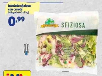 In'S Mercato Insalata sfiziosa con carote 165 g offerta