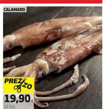Coop Calamari offerta