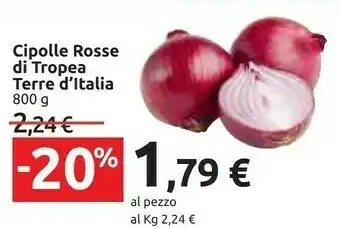 Carrefour Terre d'Italia Cipolle offerta