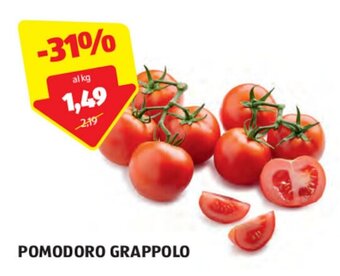 ALDI POMODORO GRAPPOLO offerta