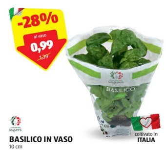 ALDI BASILICO IN VASO 10 cm offerta