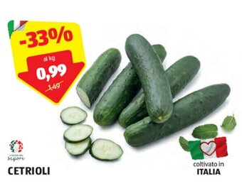 ALDI CETRIOLI offerta