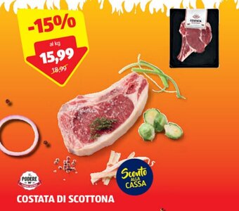 ALDI IL PODERE COSTATA DI SCOTTONA offerta