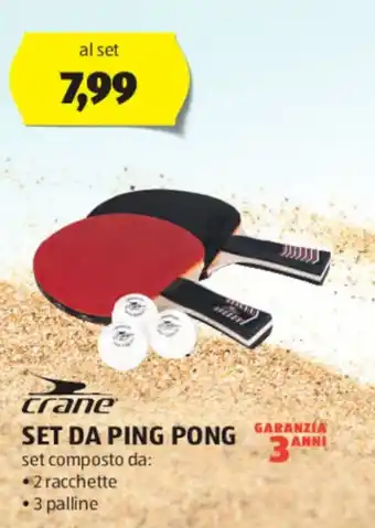 ALDI crane SET DA PING PONG offerta