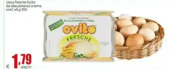 Elite Ovito Uova offerta