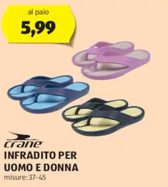 ALDI crane INFRADITO PER UOMO E DONNA misure: 37-45 offerta