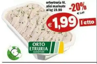 Gros Ortoetruria Fil Alici Marinate offerta
