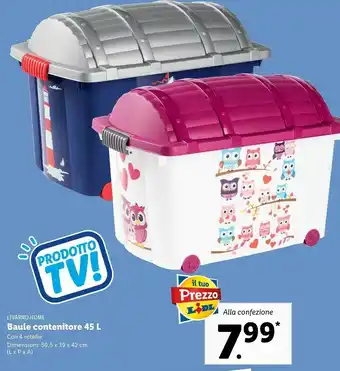 Lidl Livarno Home Baule Contenitori offerta