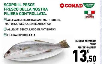 Conad OMBRINA BOCCADORO CONAD PERCORSO QUALITÀ offerta
