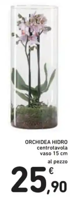 Spazio Conad ORCHIDEA HIDRO centrotavola vaso 15 cm al pezzo offerta