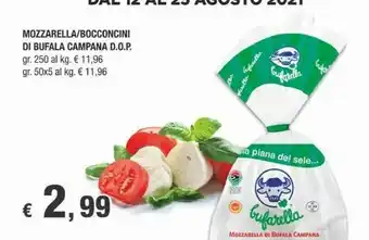 Campana Bocconcini Di Bufala D.o.p