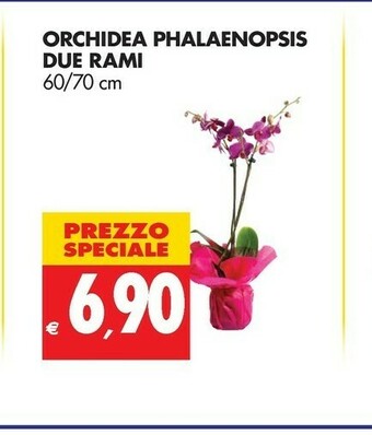 Tigros Ananas offerta