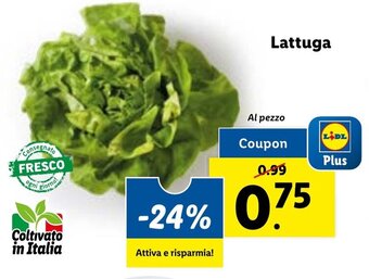 Lidl Lattuga offerta