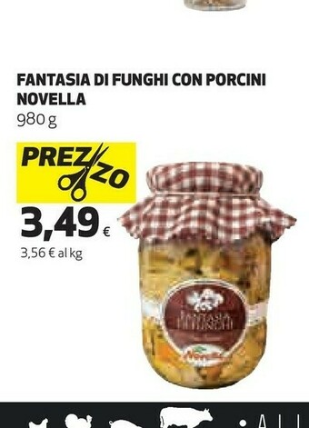 Coop Novella Fantasia Di Funghi Porcini offerta