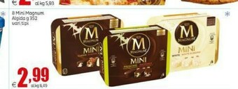 Elite Magnum Magnum offerta