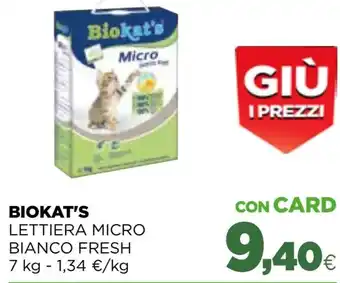 Asparagi verdi