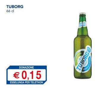 Esselunga TUBORG 66 cl offerta