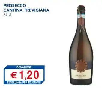 Esselunga PROSECCO CANTINA TREVIGIANA 75 cl offerta