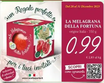 Ok Sigma Scottex carta da cucina offerta