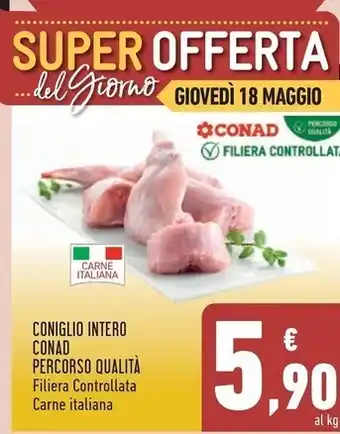 Conad coniglio intero