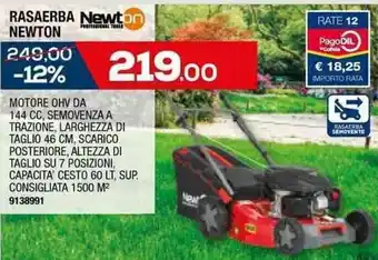 Self RASAERBA Newton offerta