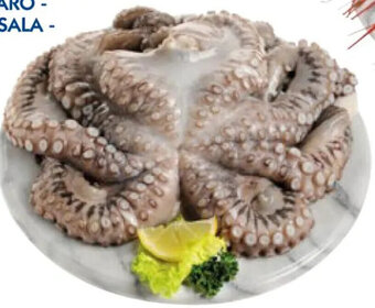 MEGA POLPO MEDIO decongelato al kg offerta