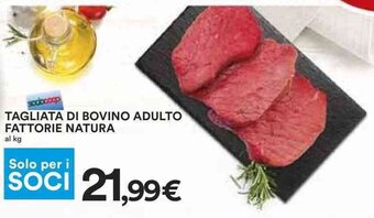 Coop TAGLIATA DI BOVINO ADULTO FATTORIE NATURA offerta