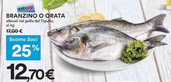 Coop BRANZINO O ORATA offerta