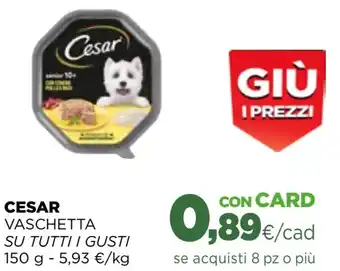 Gourmet Déco Negroni pancetta a cubetti offerta