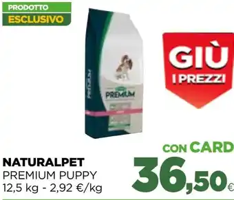 Gourmet Déco Delicius filetti di sgombro - g 125 offerta