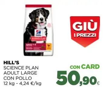 Gourmet Déco Deco mais in lattina g 326 offerta