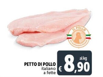 Gourmet Déco Petto di pollo offerta