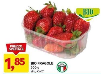 DPiù BIO FRAGOLE 300 g offerta