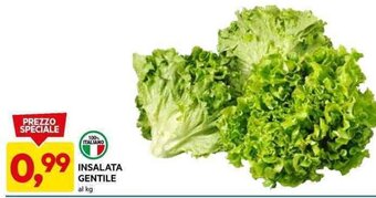 DPiù INSALATA GENTILE al kg offerta