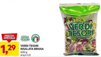 DPiù VERDI TESORI INSALATA BRIOSA 400 g offerta