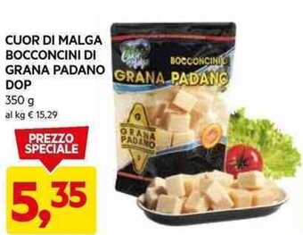 DPiù CUOR DI MALGA BOCCONCINI DI GRANA PADANO DOP 350 g offerta