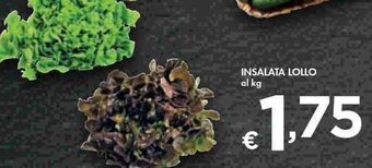 Bennet INSALATA LOLLO al kg offerta