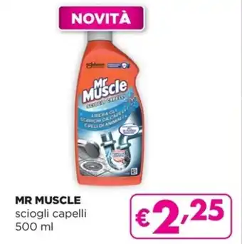 Acqua & Sapone MR MUSCLE sciogli capelli 500 ml offerta