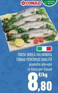 Conad Margherita Galbani no offerta