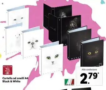 Lidl Pigna Cartella ad anelli A4 Black & White offerta