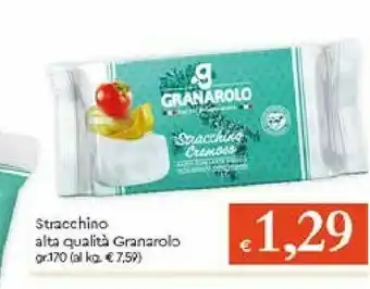 Galassia Granarolo Stracchino offerta