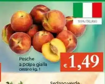 Galassia Pesche offerta