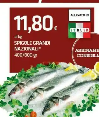 Superconti Notte rossa Vino offerta