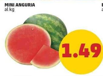PENNY MINI ANGURIA offerta