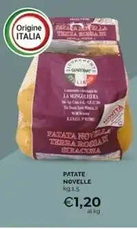 Mercatò Patate novelle offerta